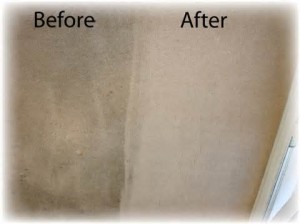 carpet cleaners Ontario